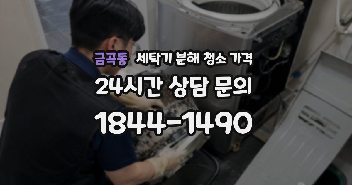 금곡동 세탁기 분해 청소 가격