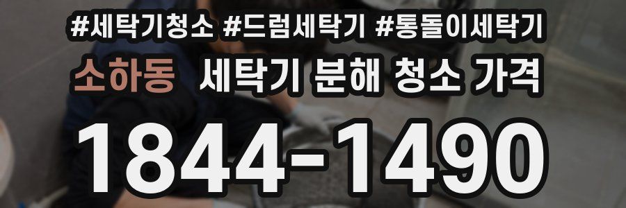 소하동 세탁기 분해 청소 가격