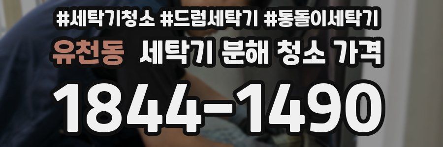 유천동 세탁기 분해 청소 가격