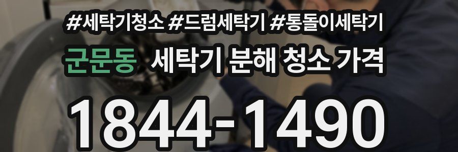 군문동 세탁기 분해 청소 가격
