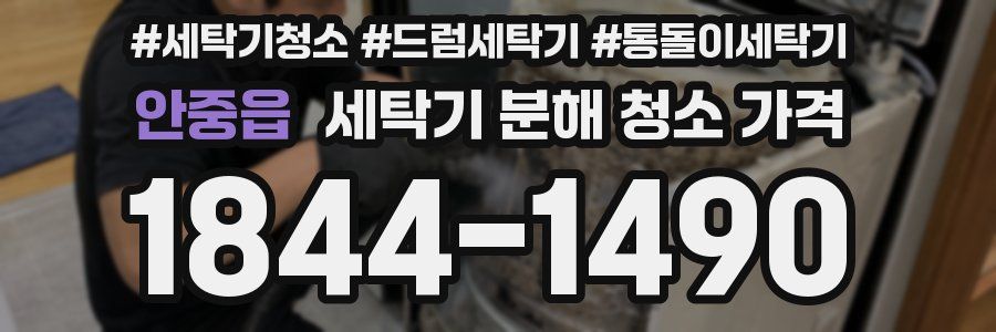 안중읍 세탁기 분해 청소 가격