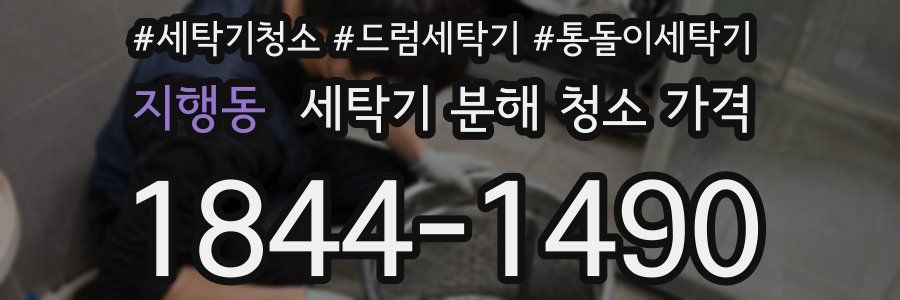 지행동 세탁기 분해 청소 가격