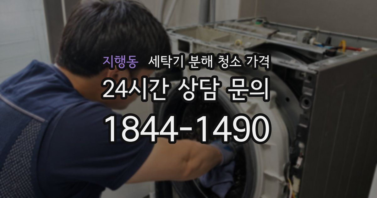 지행동 세탁기 분해 청소 가격