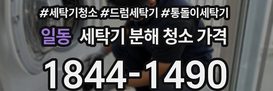 일동 세탁기 분해 청소 가격