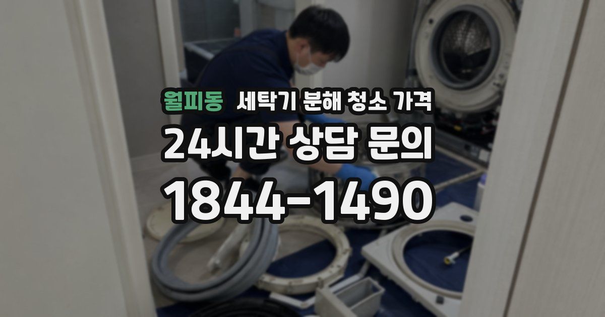 월피동 세탁기 분해 청소 가격