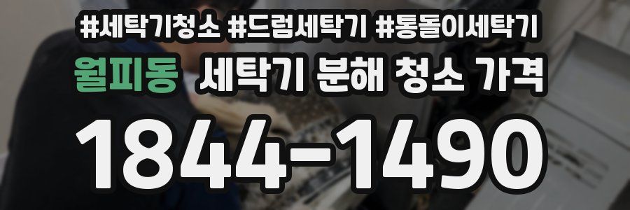 월피동 세탁기 분해 청소 가격