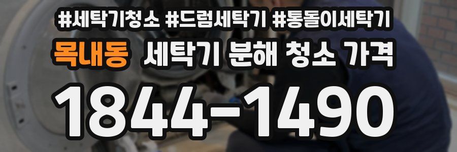 목내동 세탁기 분해 청소 가격
