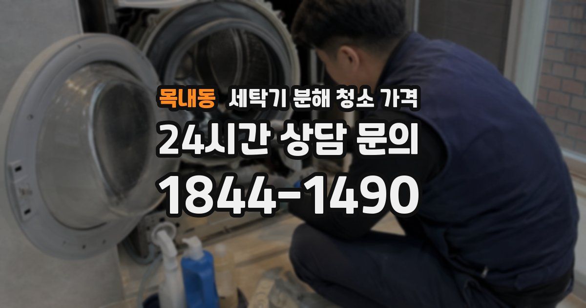 목내동 세탁기 분해 청소 가격