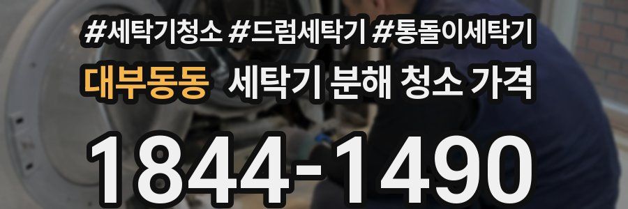 대부동동 세탁기 분해 청소 가격