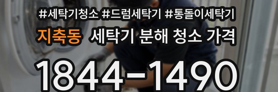 지축동 세탁기 분해 청소 가격