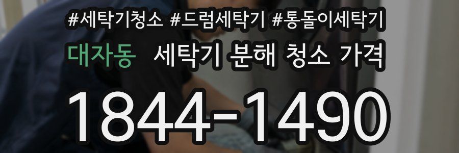 대자동 세탁기 분해 청소 가격