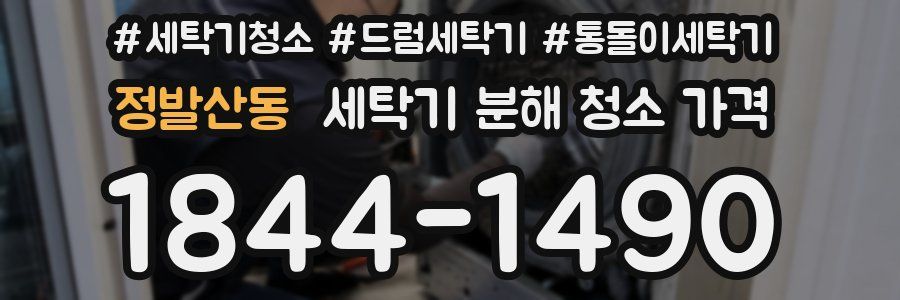 정발산동 세탁기 분해 청소 가격