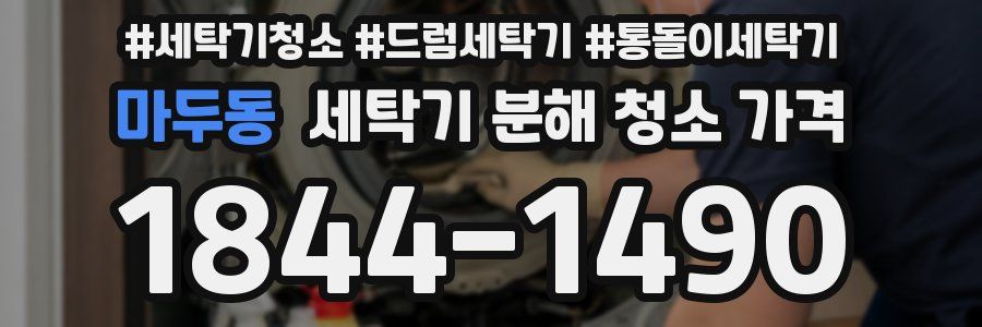마두동 세탁기 분해 청소 가격