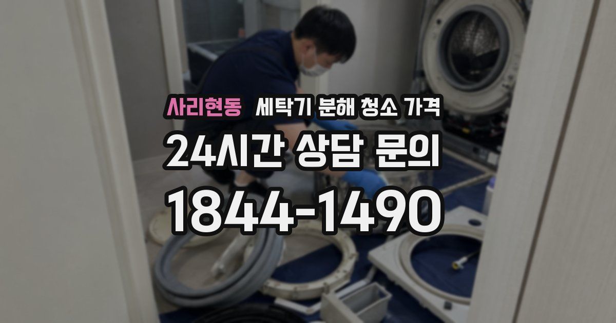 사리현동 세탁기 분해 청소 가격