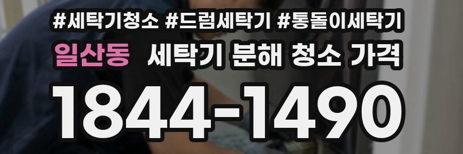 일산동 세탁기 분해 청소 가격