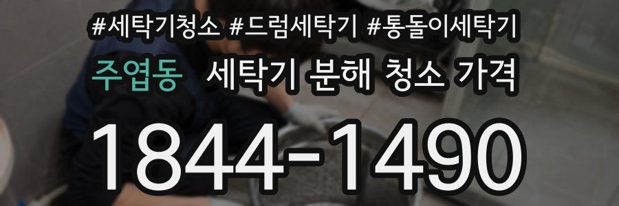 주엽동 세탁기 분해 청소 가격