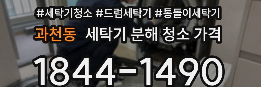 과천동 세탁기 분해 청소 가격