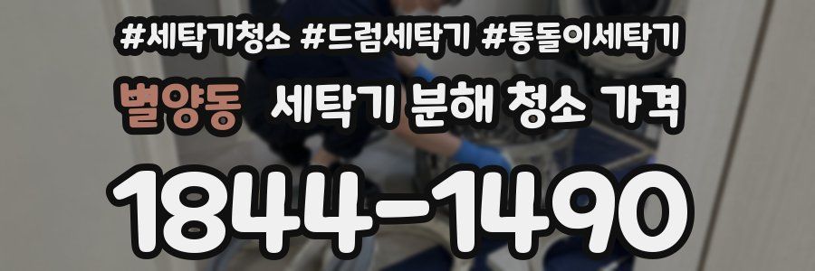 별양동 세탁기 분해 청소 가격