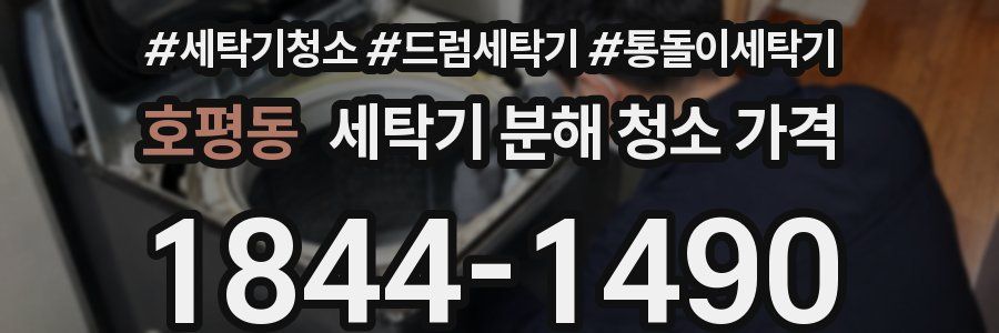 호평동 세탁기 분해 청소 가격