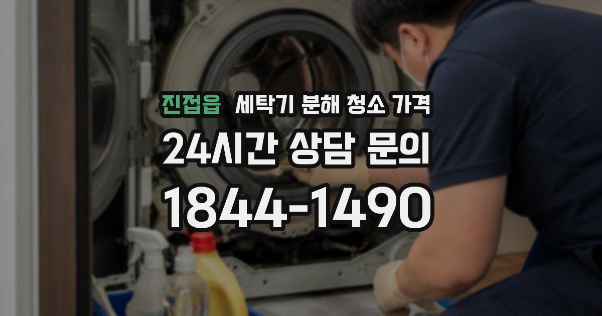 진접읍 세탁기 분해 청소 가격
