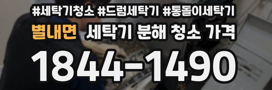별내면 세탁기 분해 청소 가격