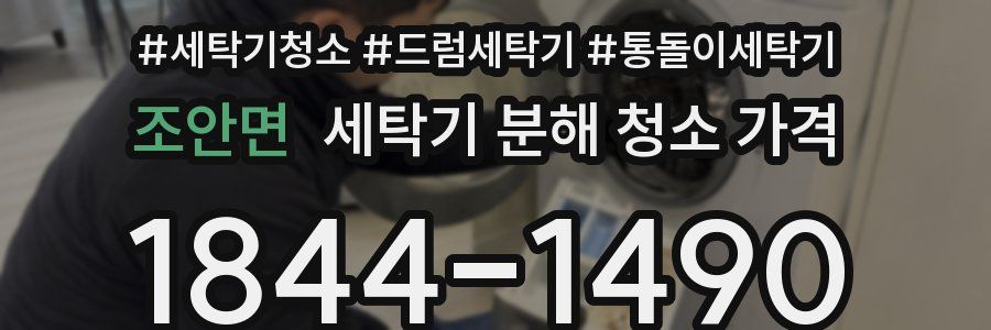 조안면 세탁기 분해 청소 가격