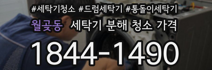 월곶동 세탁기 분해 청소 가격
