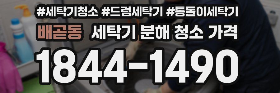 배곧동 세탁기 분해 청소 가격