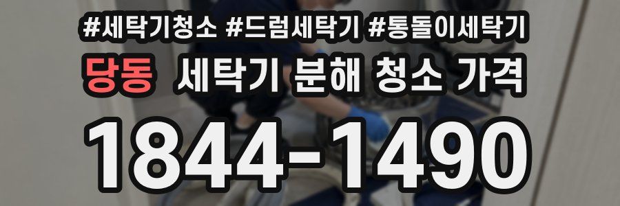 당동 세탁기 분해 청소 가격
