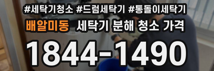 배알미동 세탁기 분해 청소 가격