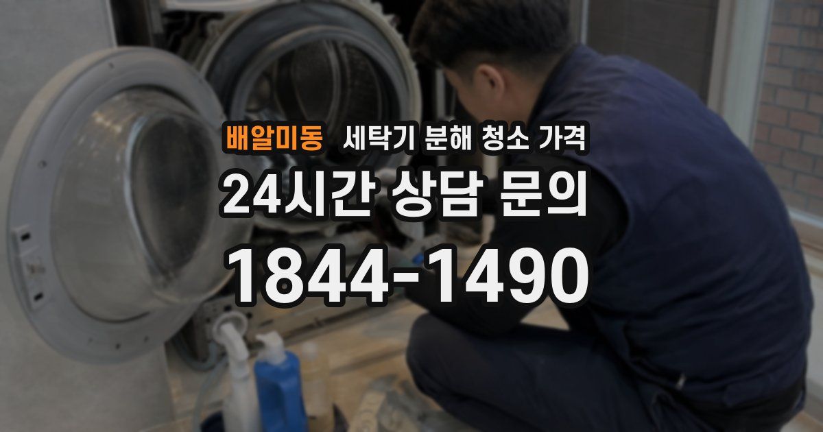 배알미동 세탁기 분해 청소 가격