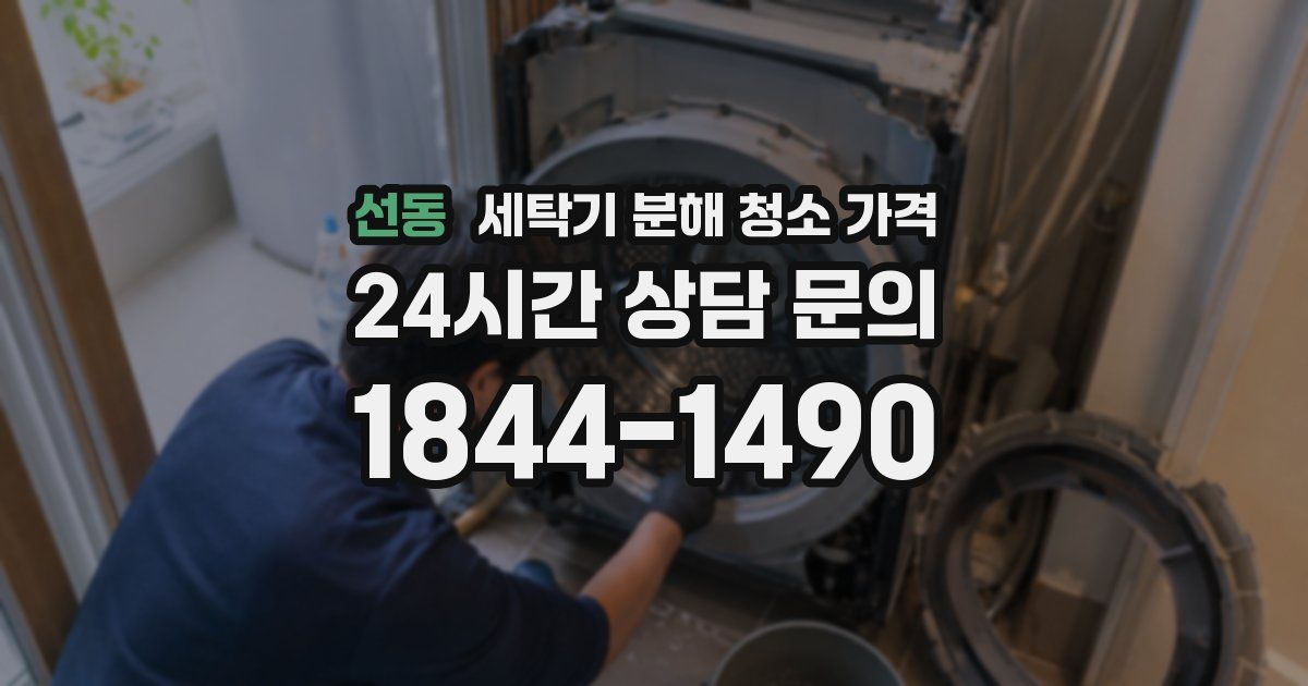선동 세탁기 분해 청소 가격