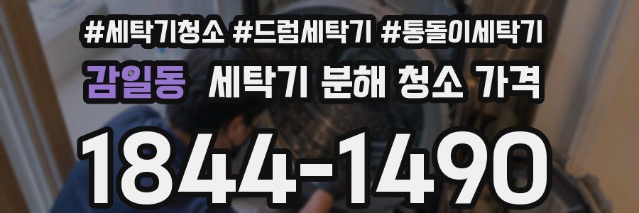 감일동 세탁기 분해 청소 가격