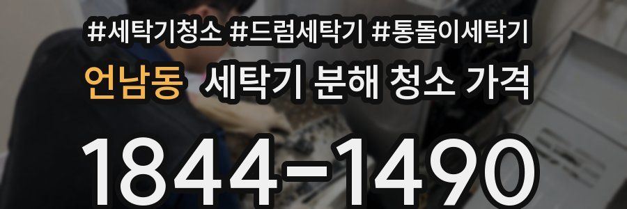 언남동 세탁기 분해 청소 가격