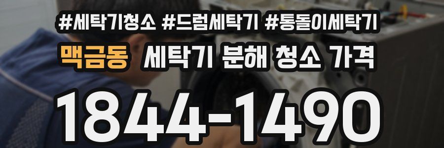 맥금동 세탁기 분해 청소 가격