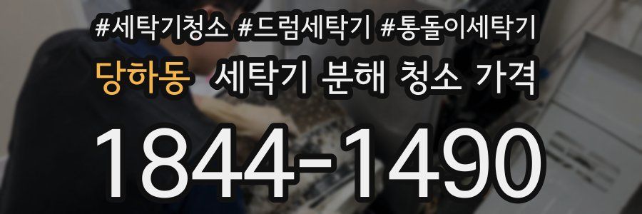 당하동 세탁기 분해 청소 가격