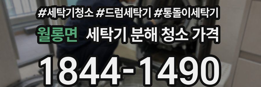 월롱면 세탁기 분해 청소 가격