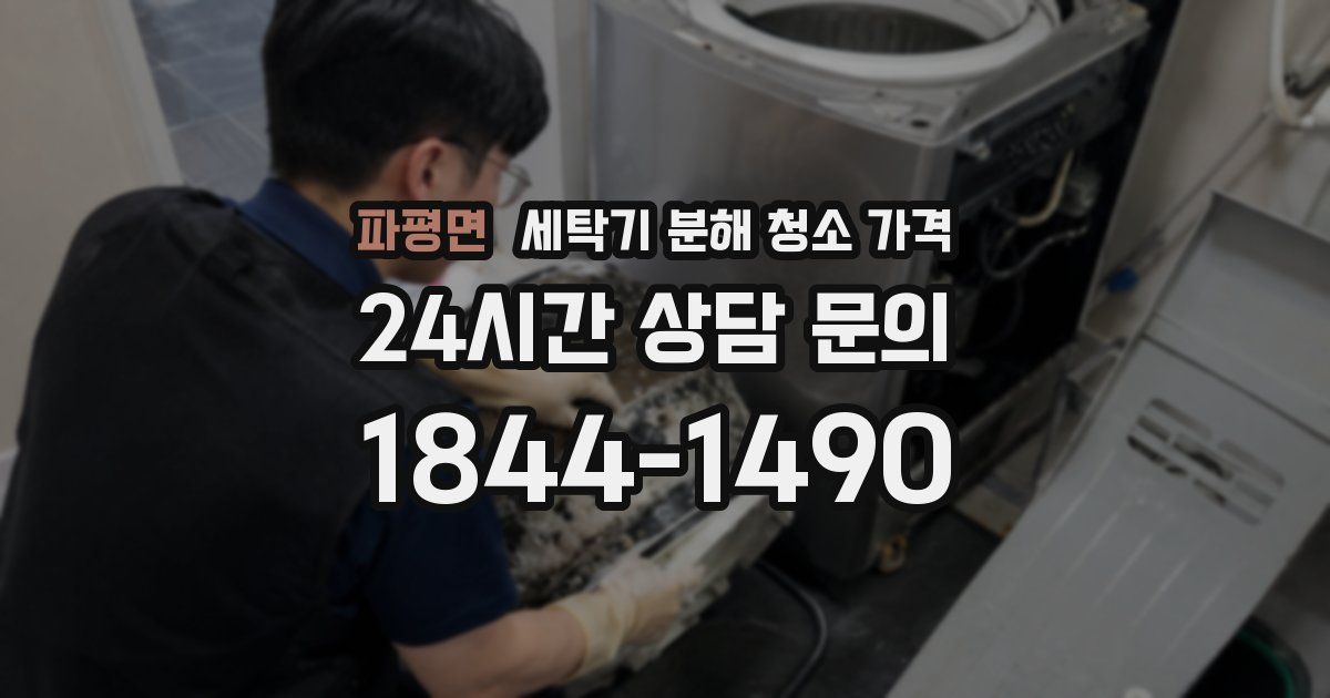 파평면 세탁기 분해 청소 가격