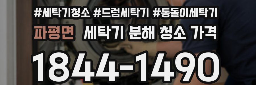 파평면 세탁기 분해 청소 가격