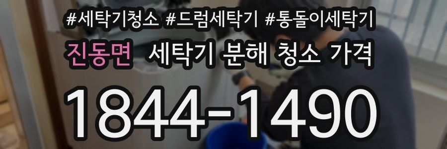 진동면 세탁기 분해 청소 가격