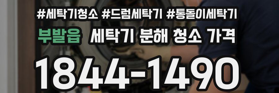 부발읍 세탁기 분해 청소 가격