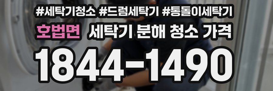 호법면 세탁기 분해 청소 가격