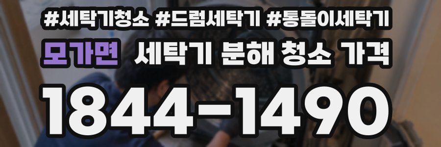 모가면 세탁기 분해 청소 가격