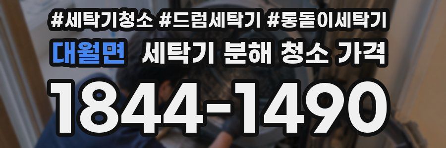 대월면 세탁기 분해 청소 가격