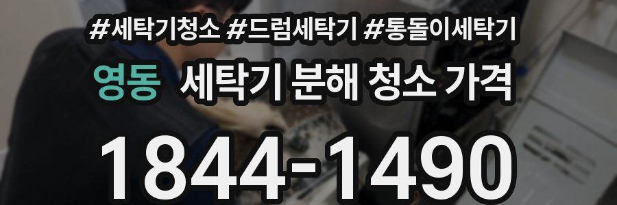 영동 세탁기 분해 청소 가격