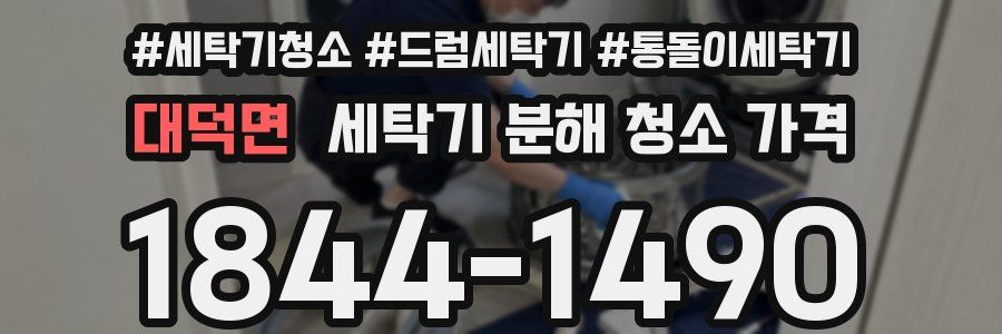 대덕면 세탁기 분해 청소 가격