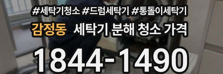 감정동 세탁기 분해 청소 가격