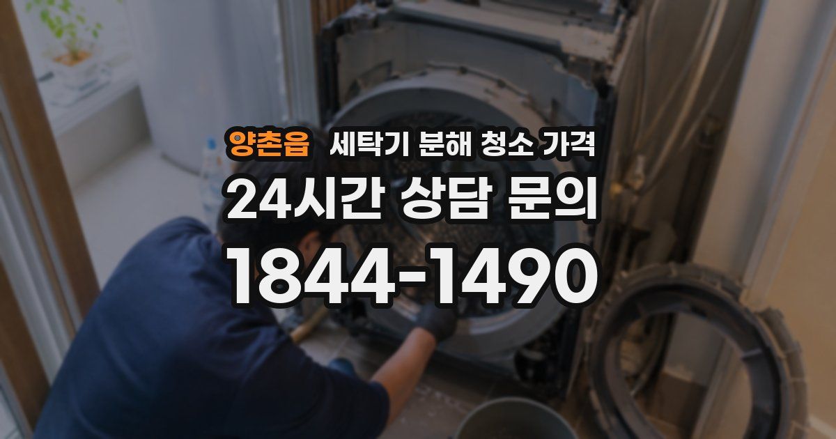 양촌읍 세탁기 분해 청소 가격