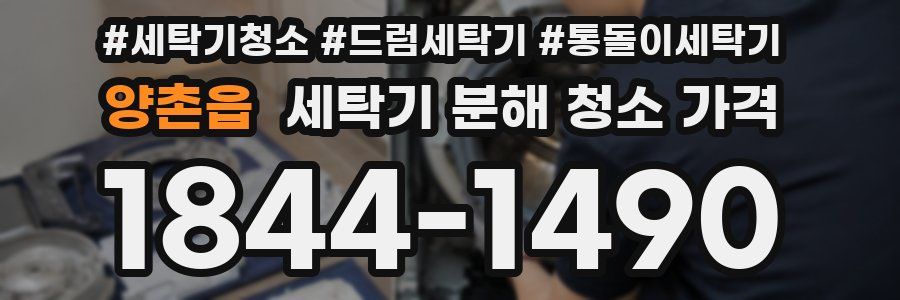 양촌읍 세탁기 분해 청소 가격