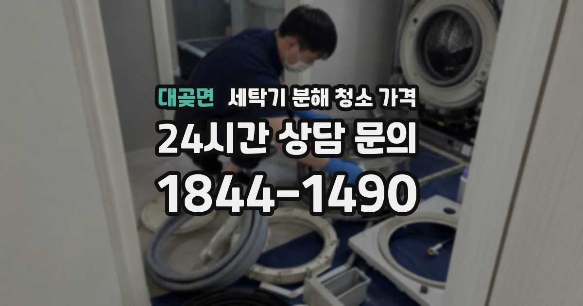 대곶면 세탁기 분해 청소 가격